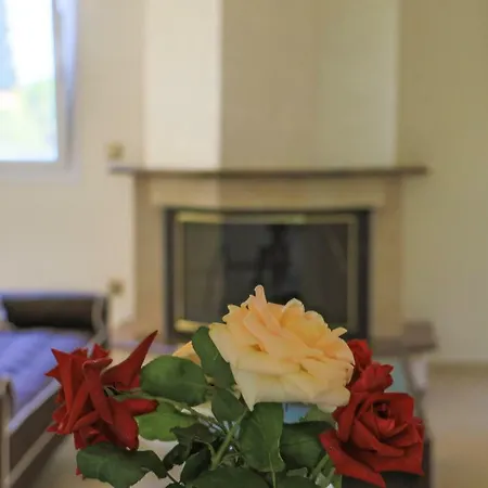 Maison Fleurs Diakoptó